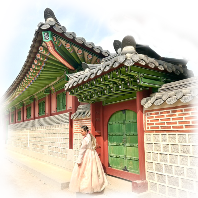 Korean wave illustration